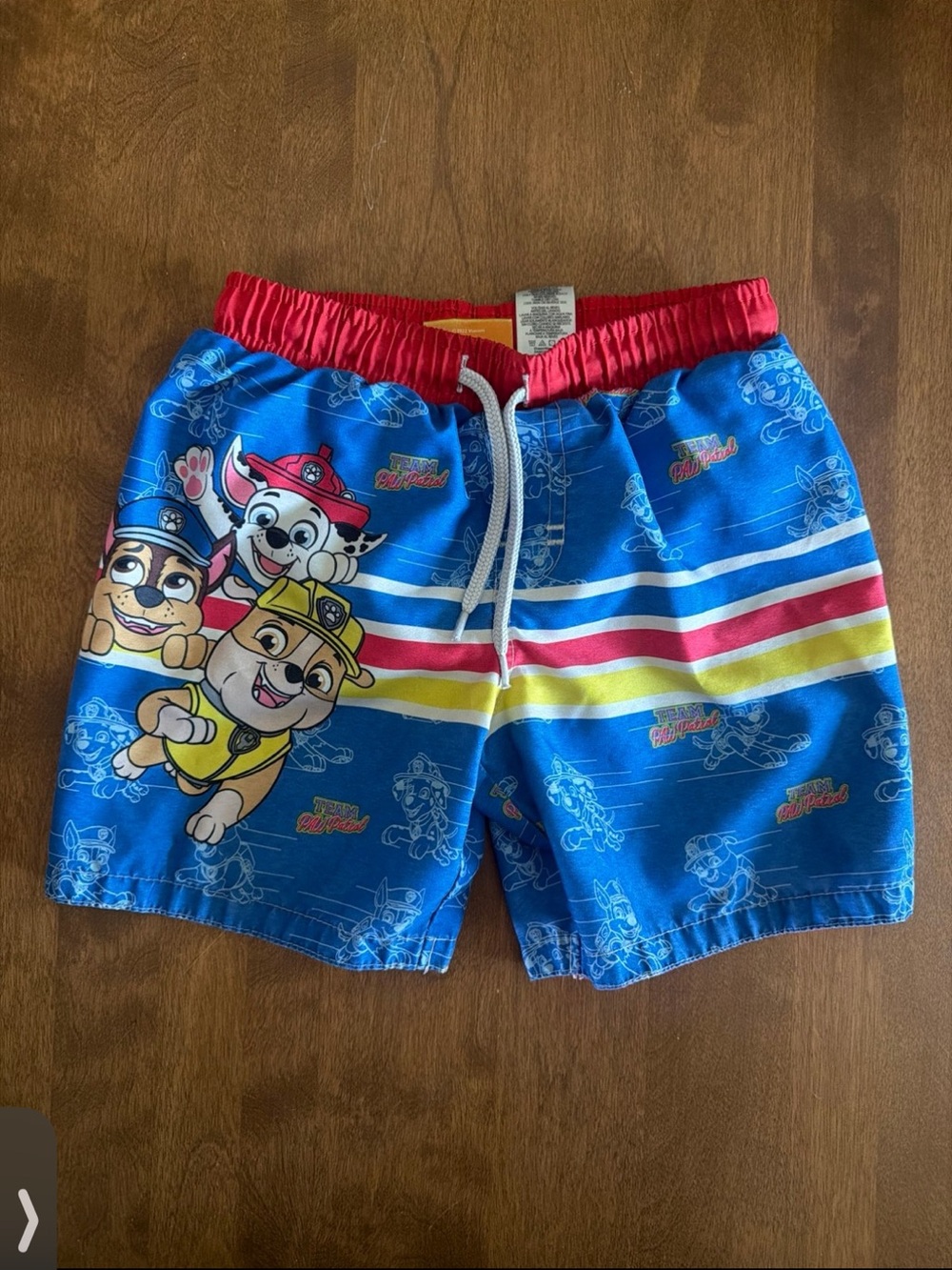 Nickelodeon Paw Patrol Swim Trunks